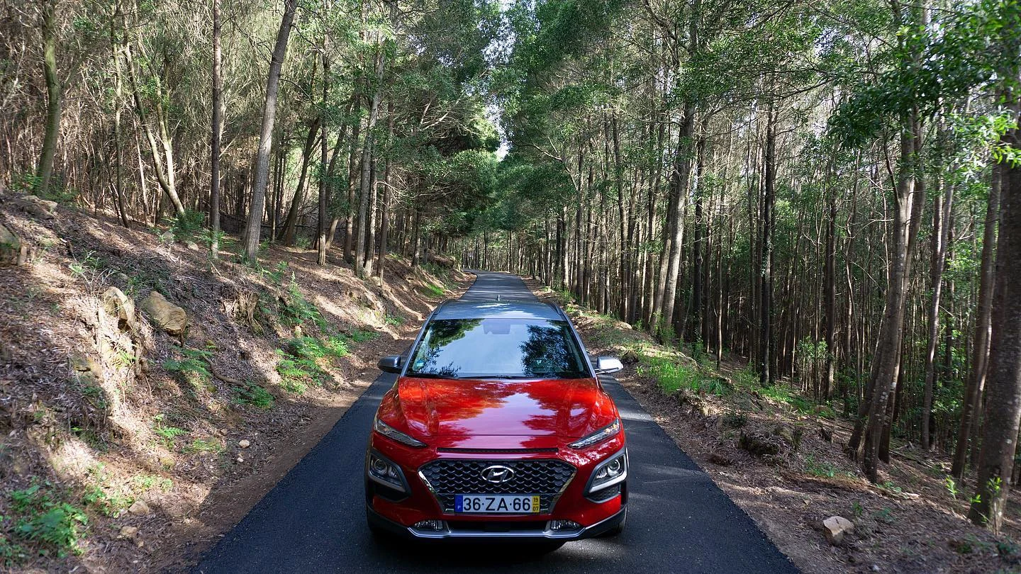 Automotive — forest photography